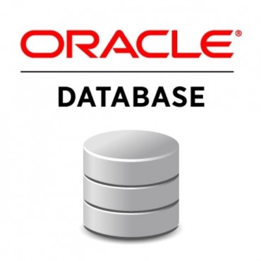Consultoria em Banco de Dados Oracle em Itapipoca